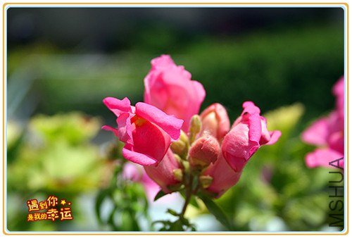 ��Ƭ 060_����.jpg