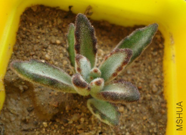 ���ö��Ǳ��ö�Ŷ