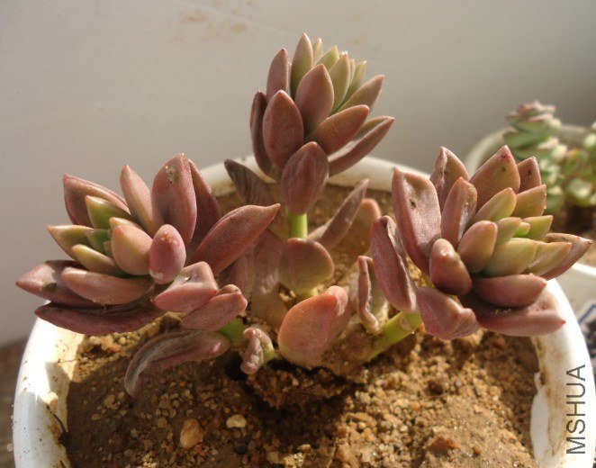 ����������