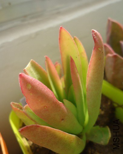 Ϊʲô�����찡  ������