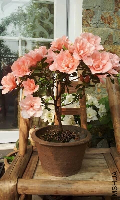 2013��������������