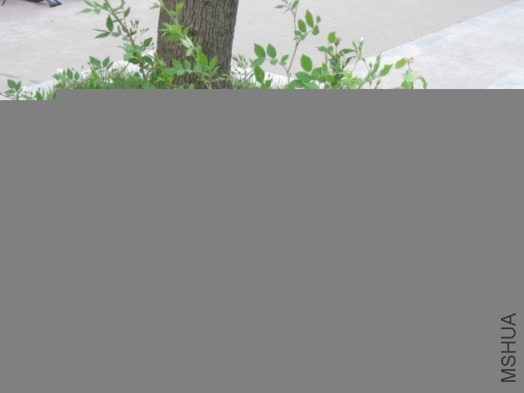 QQ��ͼ20130419104940.jpg
