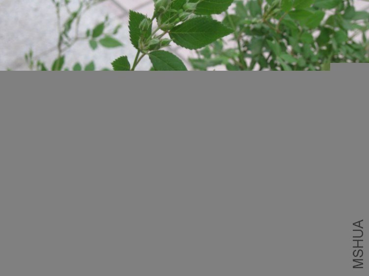 QQ��ͼ20130419104953.jpg