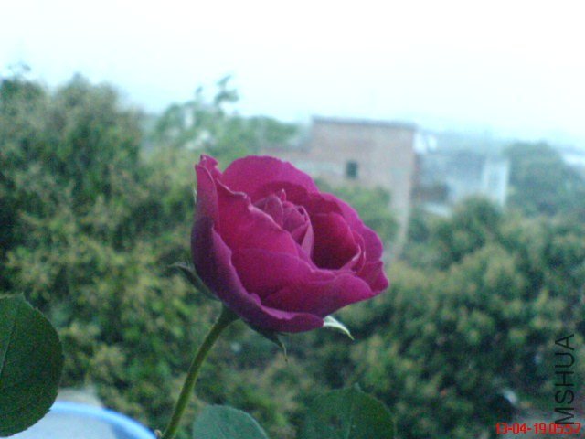 DSC00040.jpg