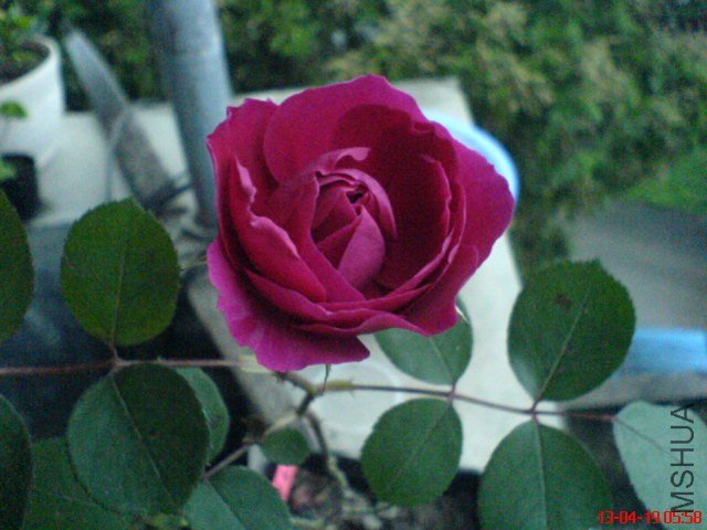 DSC00042.jpg