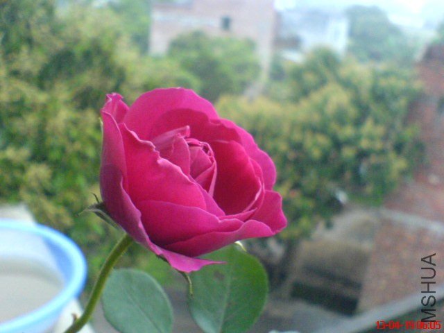 DSC00049(01).jpg