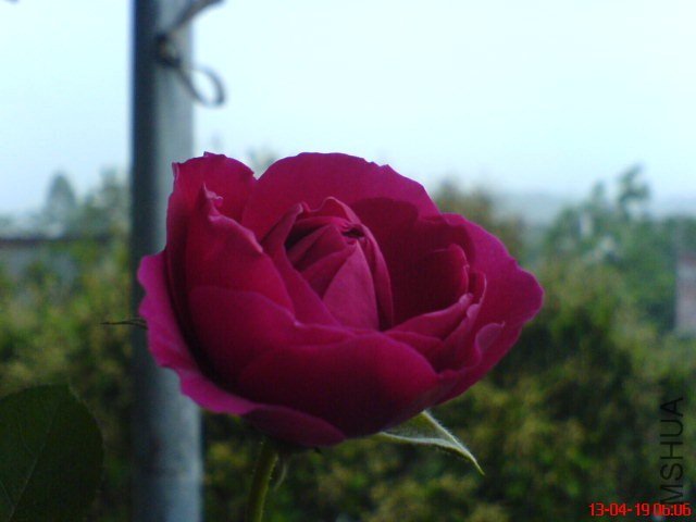 DSC00050(01).jpg