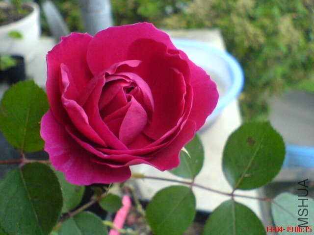 DSC00054.jpg