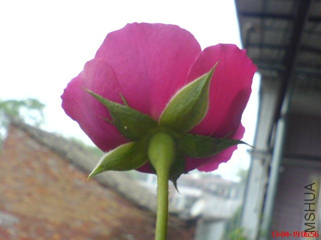 DSC00059(01).jpg
