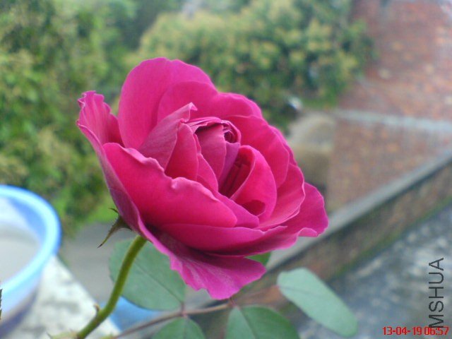DSC00060(01).jpg
