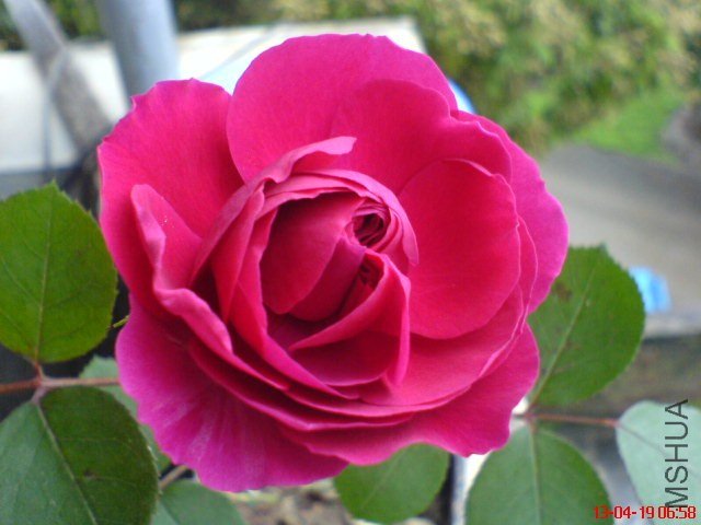 DSC00061(01).jpg