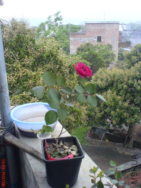 DSC00065(01).jpg
