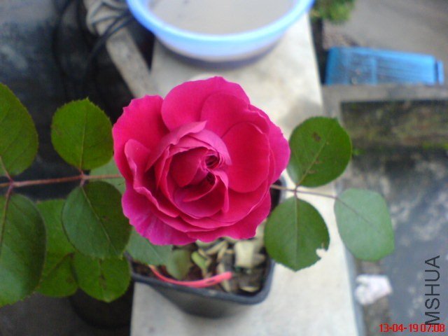 DSC00066.jpg