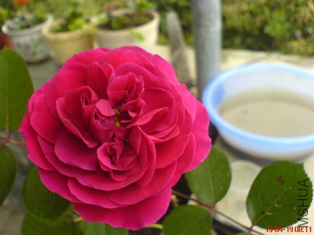 DSC00067.jpg