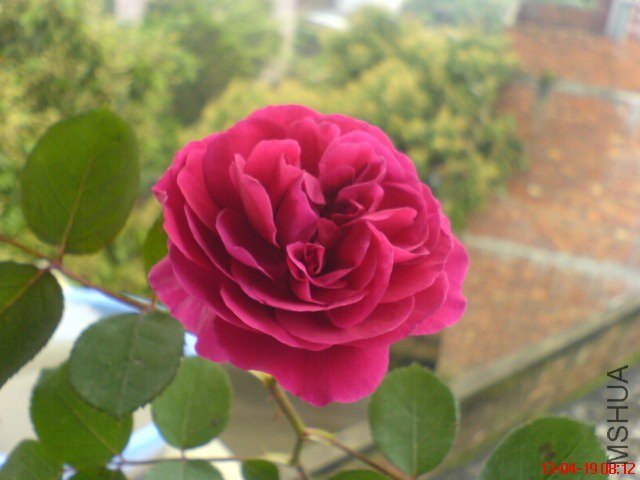 DSC00068.jpg