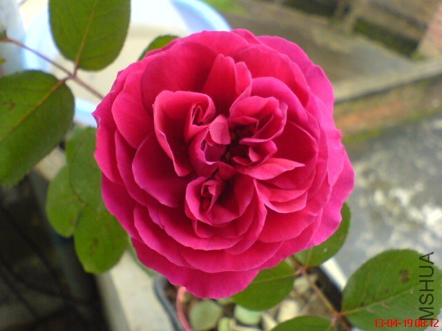 DSC00069.jpg