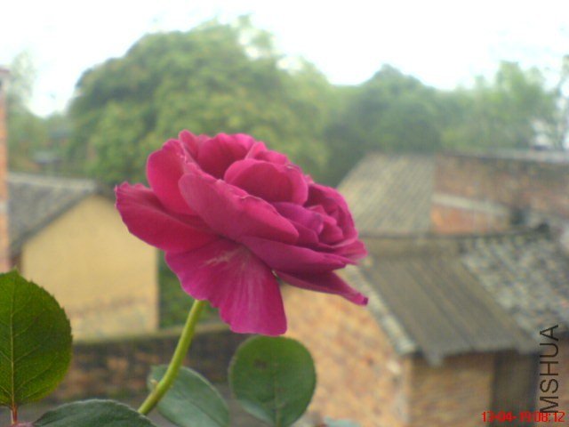 DSC00070.jpg