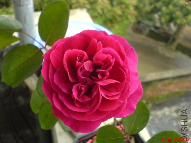 DSC00071.jpg