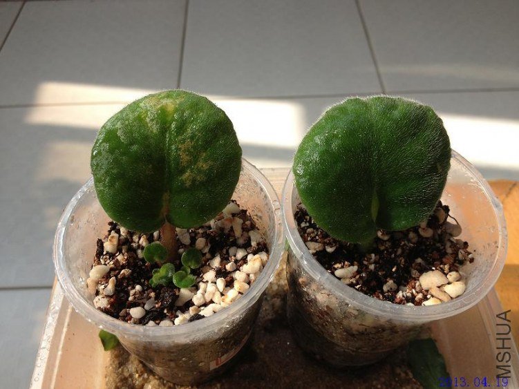 ҶƬ 2013.04.19��2��.JPG