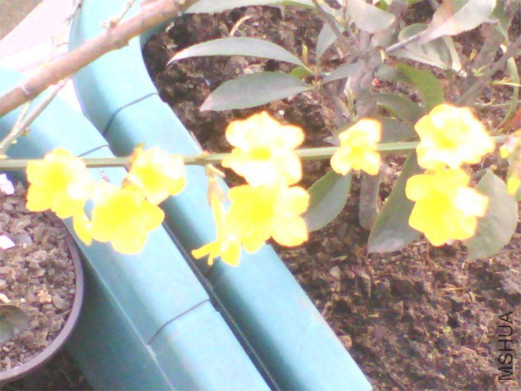 IMG_20130303_163053_0.jpg