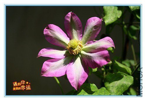 ��Ƭ 092_����.jpg