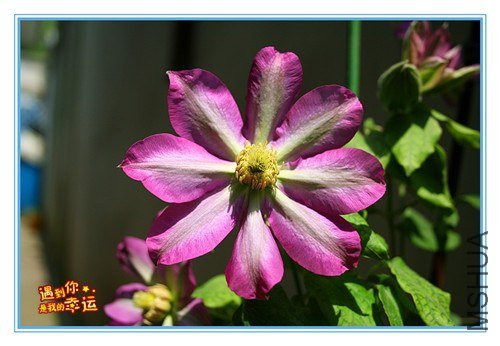 ��Ƭ 093_����.jpg