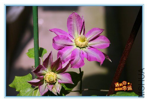 ��Ƭ 094_����.jpg