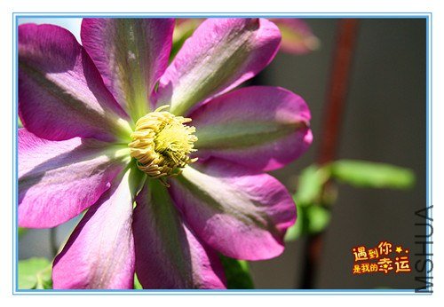 ��Ƭ 095_����.jpg