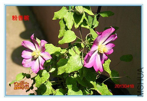 ��Ƭ 091_����.jpg