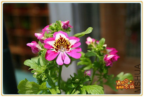 ��Ƭ 045_����.jpg