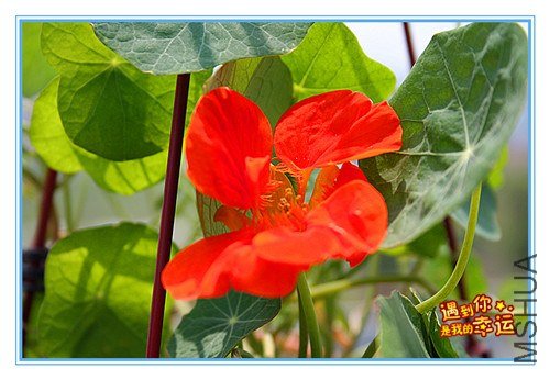 ��Ƭ 038_����.jpg