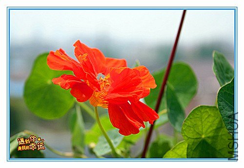 ��Ƭ 039_����.jpg