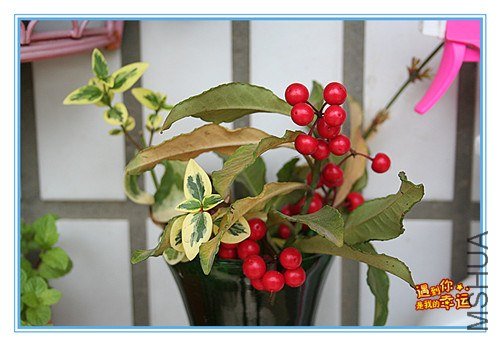 ��Ƭ 013_����.jpg