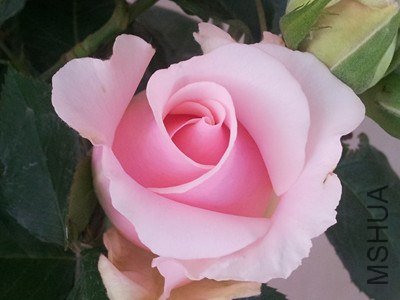 20130418_072756_����.jpg