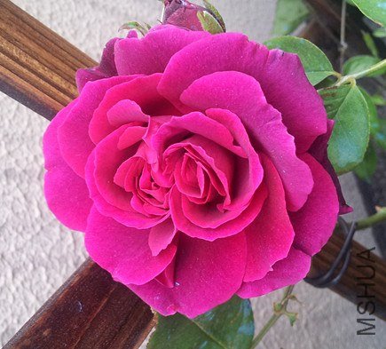 20130416_164740_����.jpg