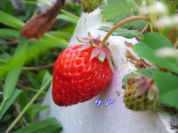 DSCF2874_����.jpg