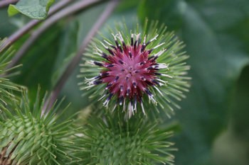 ���ǻ����ǹ�