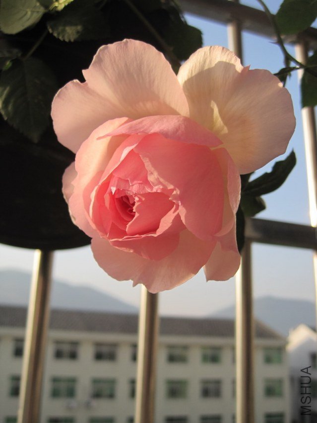 IMG_0053.jpg
