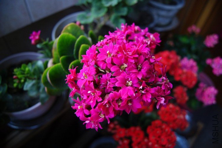 1ME63CACJVRWMCAXULKCSCAVPHICLCAVZSS7GCADYGLVNCA6HKGF2CA5CTD0UCAHILO44CA9HU1JGCAP.jpg