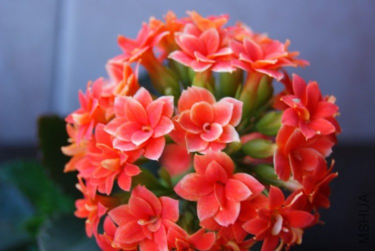 16JKLCALB8KW2CAY1ZW2UCANIOLE4CANKJGFQCAWFHGF8CAD95SQ2CAMNGEQSCA09J2BXCA832U1TCA5.jpg