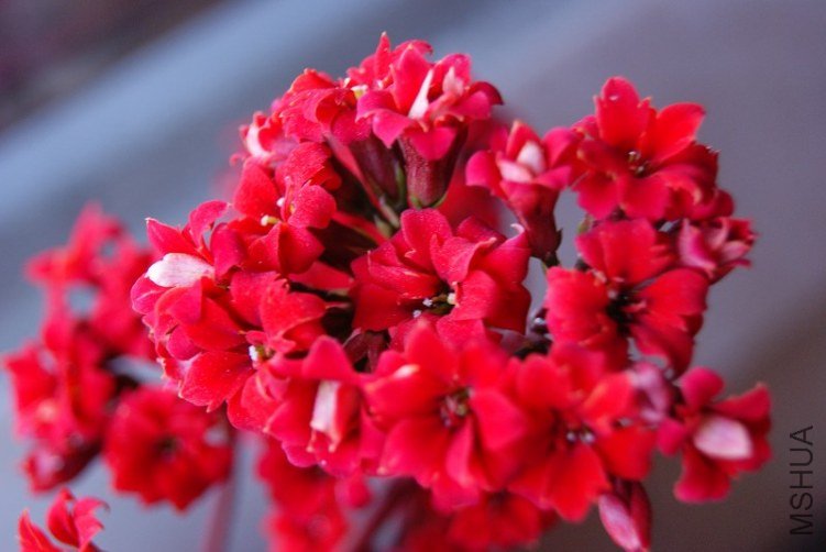 FIS3TCAR4WNRYCAH5BZHDCACY5M9GCAUNCVGQCAKLB4YECA3I06XYCAD0P9UXCA2B2F2BCAEIEIT6CA7.jpg
