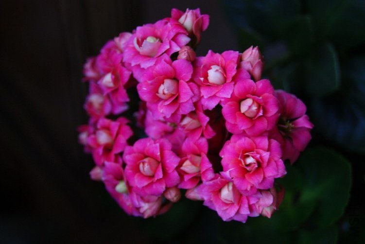 XCSMDCA4DFBSVCAXP6TKTCAFPPFCCCA4DYX5FCALRBTCUCANWVPU7CAZRM1IYCAW8AEFMCADUPN7YCAO.jpg
