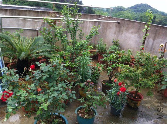 ���ȫ����