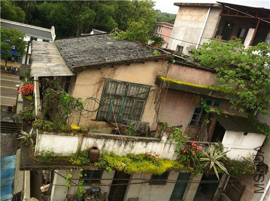 �����˼������쳤��