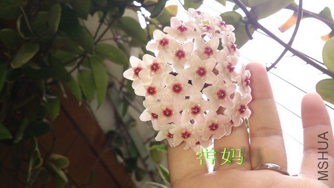 DSC_6945_������С.jpg