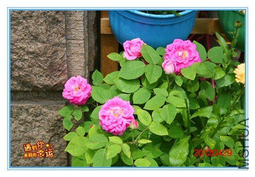 ��Ƭ 034_����.jpg