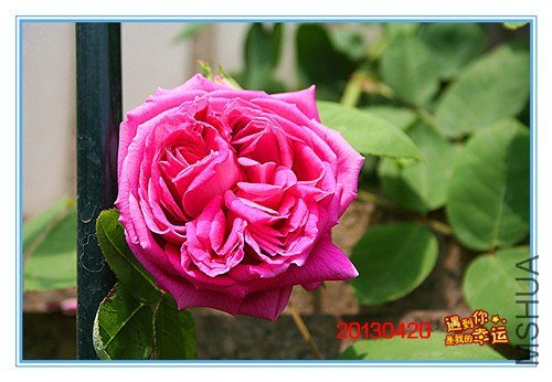 ��Ƭ 035_����.jpg