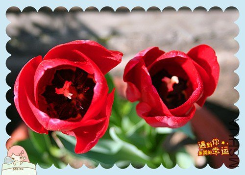 ��Ƭ 135_����.jpg