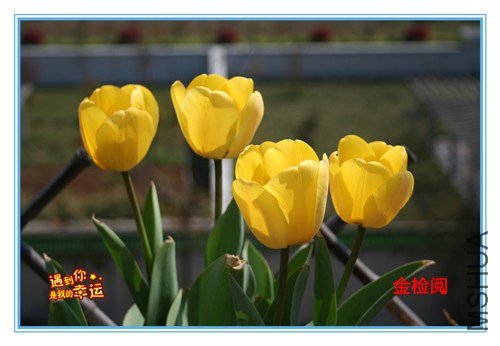 ��Ƭ 012_����.jpg