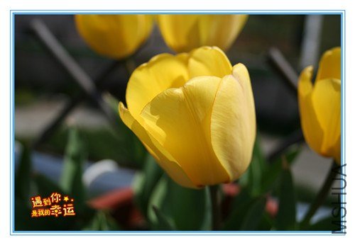 ��Ƭ 017_����.jpg